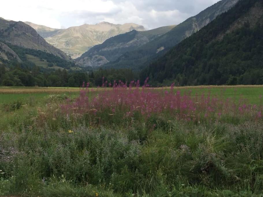Appart Tres Ensoleille 5-6 Pers Au Pied Des Pistes Ancelle Eksteriør bilde